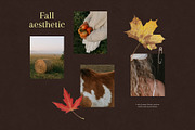 90+ Autumn Stock Photos, a Nature Photo by Trissa (Thumbnail 7 of 12)