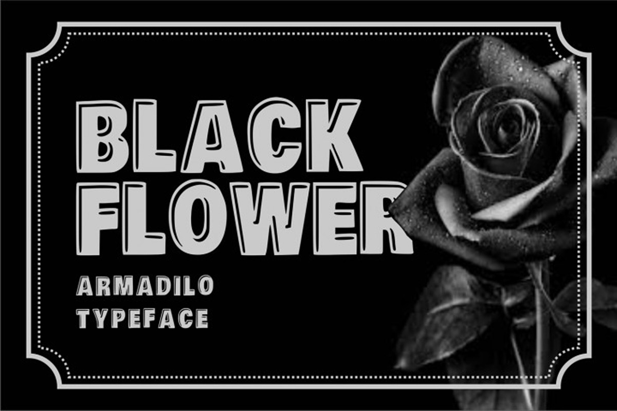 Armadilo font Display typeface