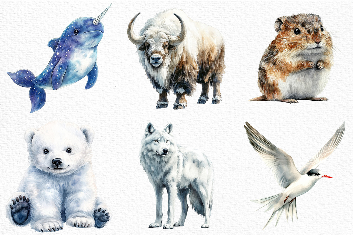 Arctic Animals Clipart, an Illustration by Craft Nest (Photo 4 of 6)