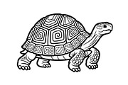 Turtle Line Art Illustration Bundle, an Illustration by Creativeshirt (Thumbnail 48 of 48)