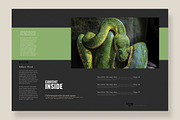 Magazine Template 10, a Magazine Template by pmvch (Thumbnail 4 of 12)