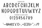 BREAKFAST, a Serif Font by InermediaSTUDIO (Thumbnail 5 of 6)
