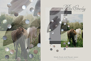 Flower Petal Textures & Foil Overlay, a Texture Graphic by Oksana Trygub (Thumbnail 21 of 28)