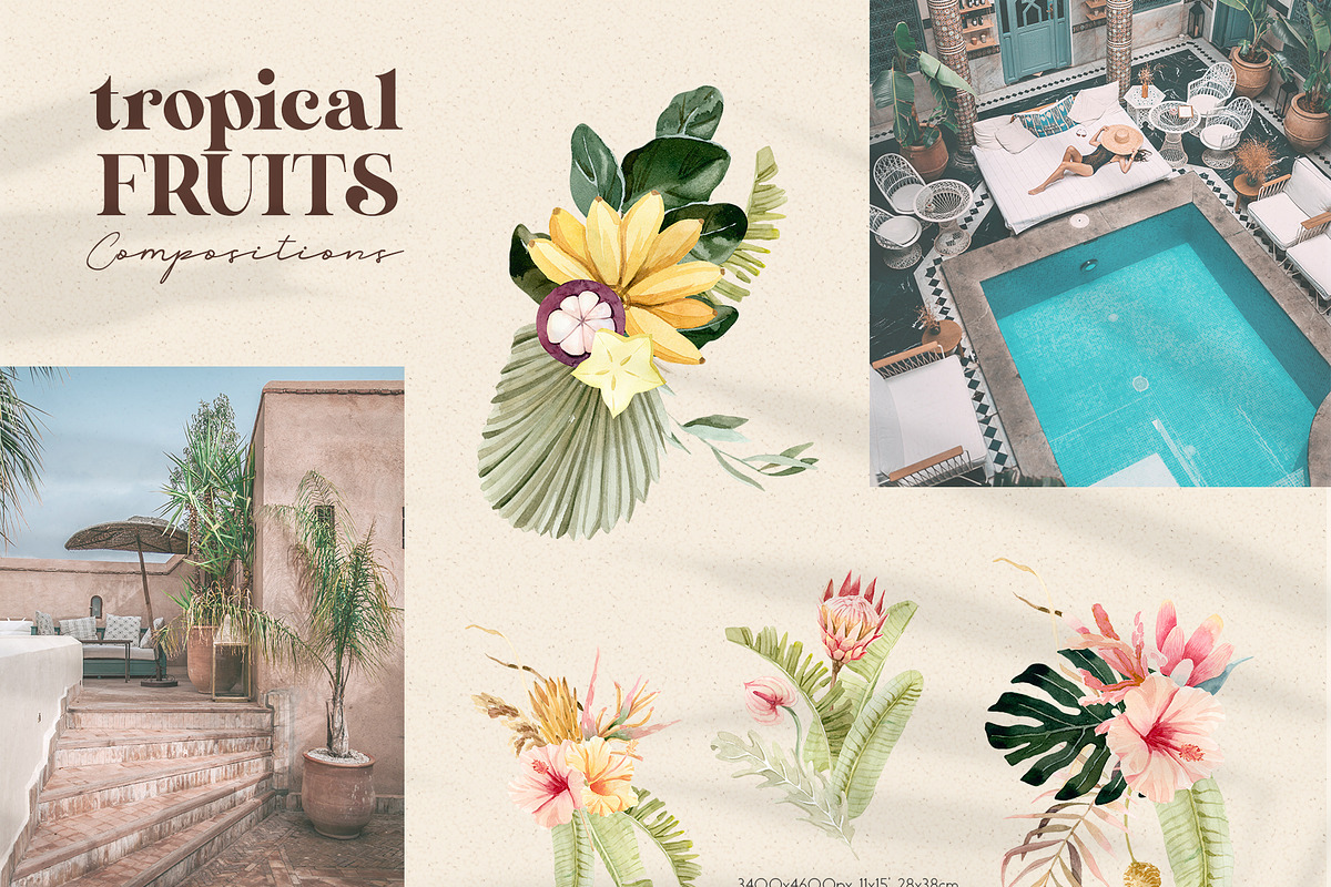 Tropical Flowers, Fruits and Leaves, a Decorative Illustration by Julia M. Watercolor (Photo 2 of 14)