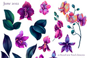 Monstera and Strelitzia watercolor, an Illustration by Salted Galaxy (Thumbnail 12 of 15)