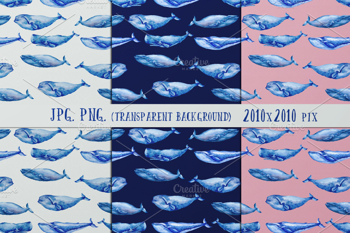 Watercolor Whales & Patterns, an Animal Illustration by ZiziMarket (Photo 2 of 3)