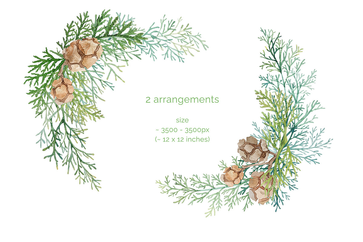 Winter greenery floral clipart, a Decorative Illustration by My Wondercolor (Photo 4 of 6)
