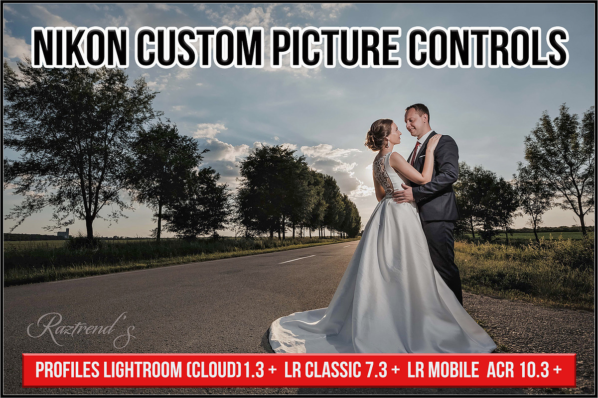 Nikon Custom Picture Controls