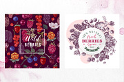 Fresh berries, a Food Illustration by handsketched (Thumbnail 16 of 21)