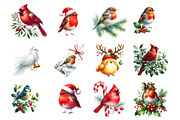 Christmas Birds Clipart, an Illustration by Design Market (Thumbnail 3 of 4)