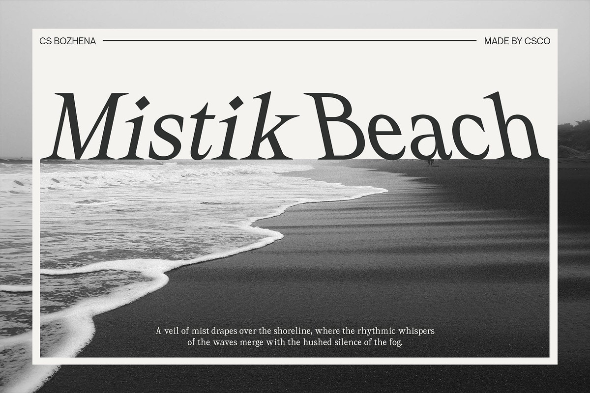 CS Bozhena – Contemporary Font, a Serif Font by Craft Supply Co. (Photo 7 of 8)
