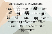 Brimstone | Modern Script Font, a Script Font by BearyType Studio (Thumbnail 7 of 9)