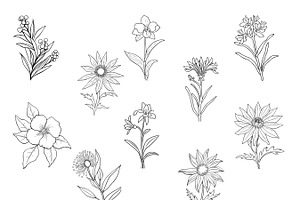 Australian Native Flowers Clipart