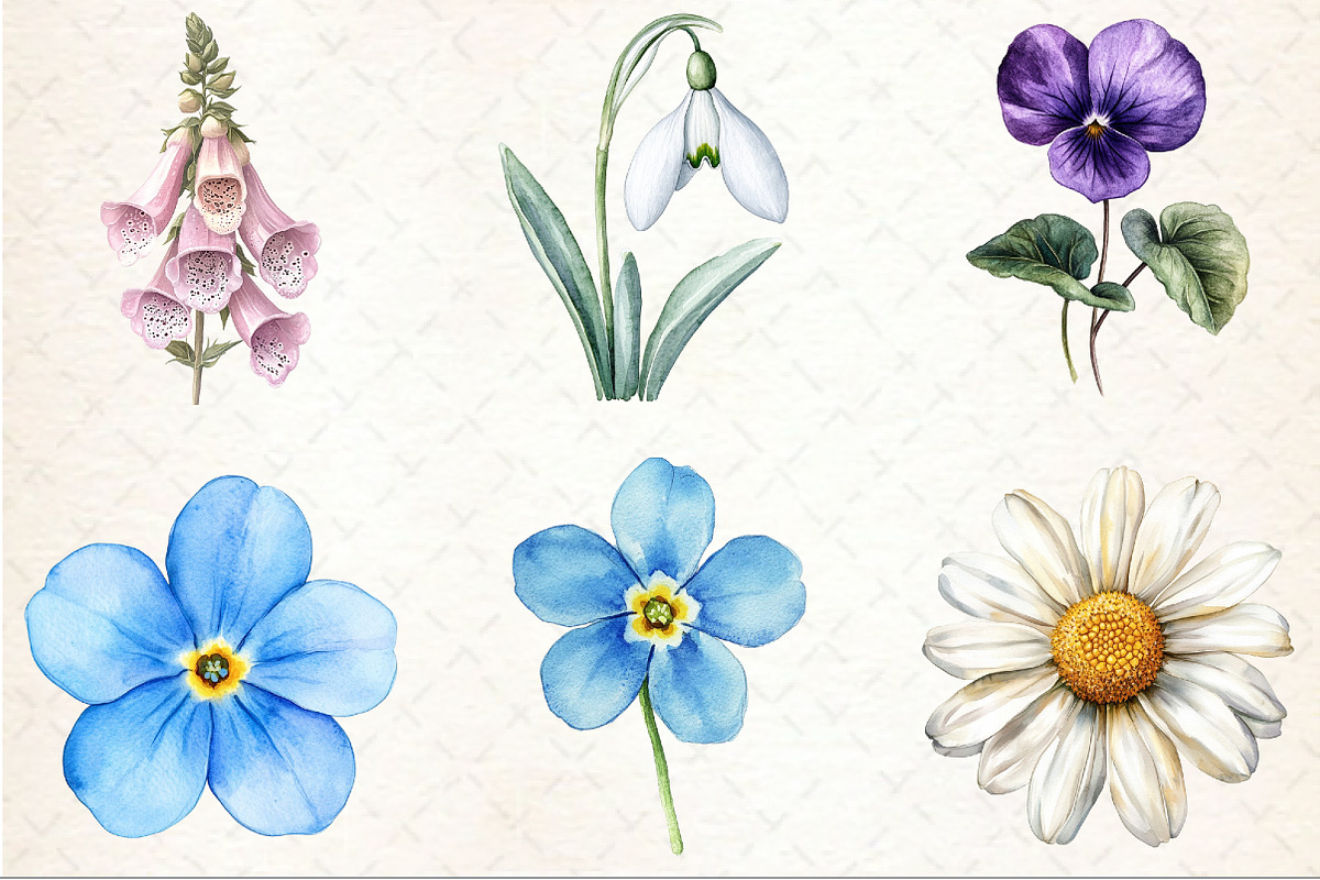 Charming Wild Flowers Watercolor Cli, an Illustration by Rose Art (Photo 3 of 7)