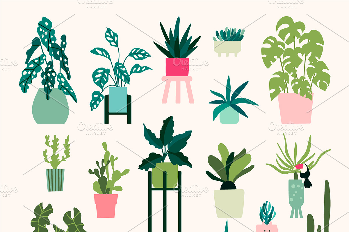 Cozy Home PLANTS, an Animal Illustration by Rimma (Photo 3 of 4)