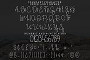 Worldtalk, a Handwritten Font by FreshTypeINK (Thumbnail 6 of 8)