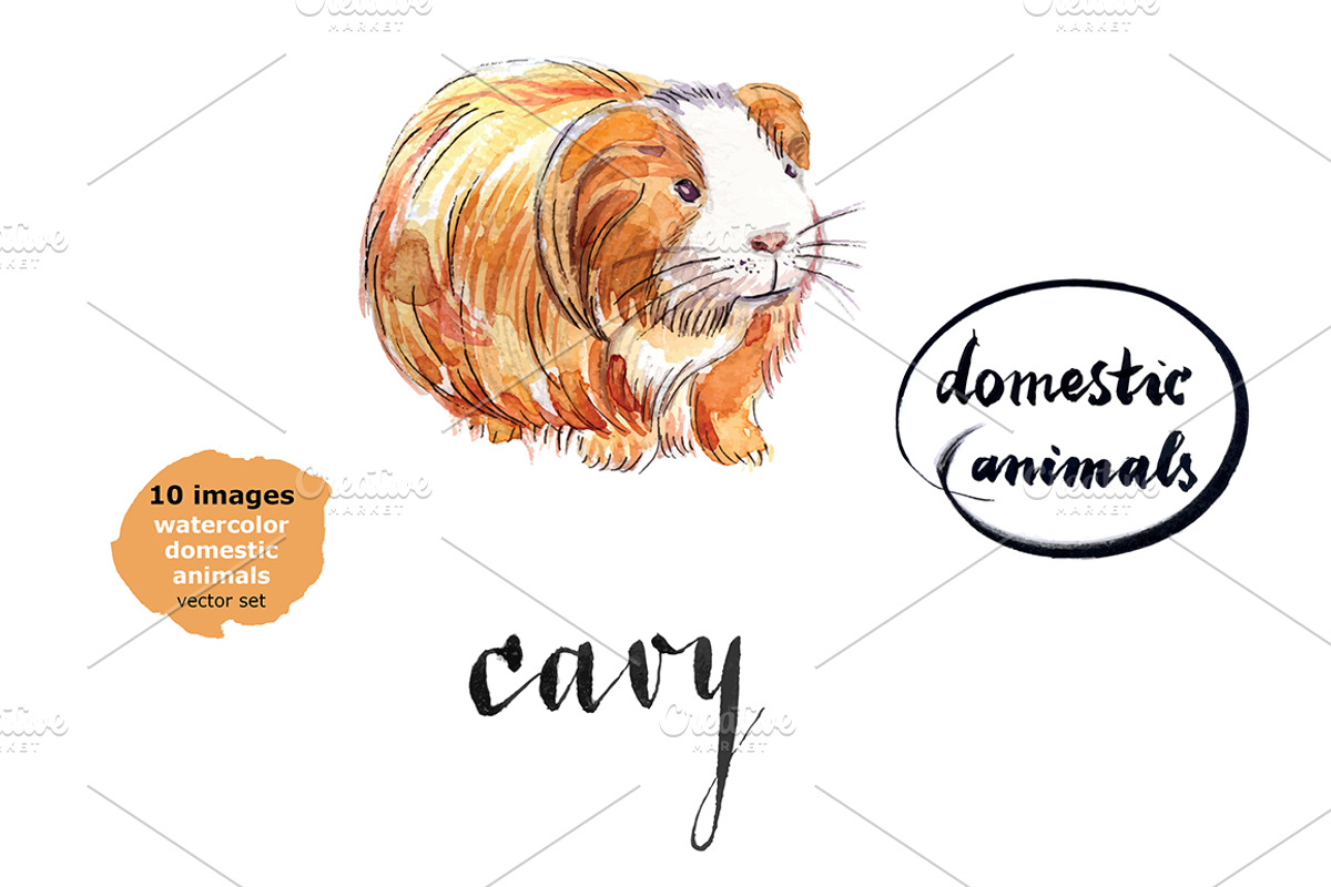 Watercolor vector domestic animals, an Animal Illustration by miminoshka (Photo 5 of 8)