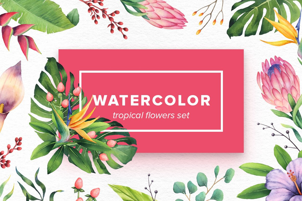 Watercolor Floral Bundle, an Object Illustration by Kotulska (Photo 3 of 21)