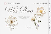 Pressed Flowers (Png) Elements, a Background Graphic by by creative paper (Thumbnail 1 of 13)