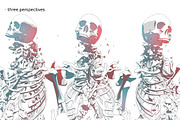 Shattering Skeleton Illustration, an Illustration by Madbiologist (Thumbnail 4 of 5)