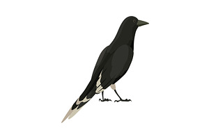 City bird, icon. European colorful, an Animal Illustration by the8monkey