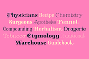 Apothicaire font, a Serif Font by Sudtipos (Thumbnail 6 of 8)