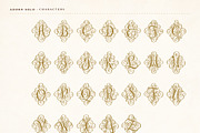 Adorn Collection, a Sans Serif Font by Laura Worthington (Thumbnail 43 of 62)