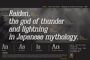 Raiden - Serif font family, a Serif Font by Artistic & Unique (Thumbnail 7 of 13)