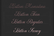 WT Hilton Script, a Font by Winston Type Co. (Thumbnail 6 of 9)