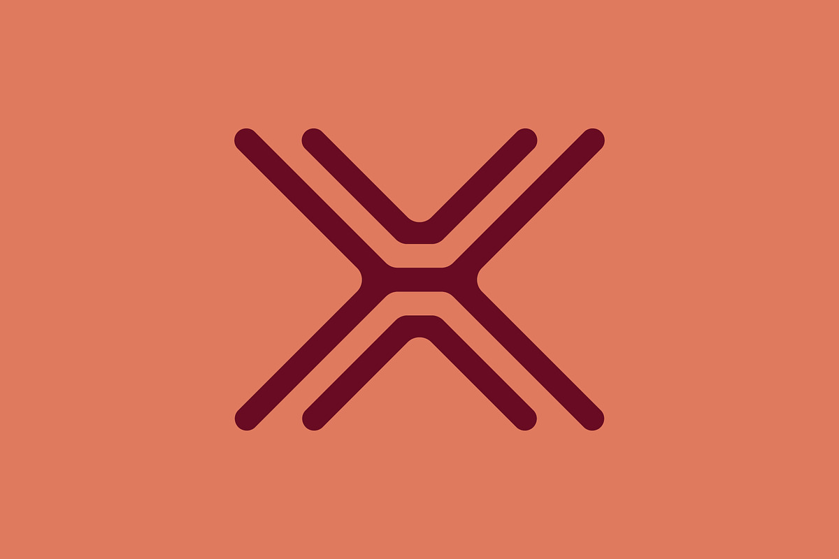 x letter logo design, a Branding & Logo Template by Salman Shop (Photo 1 of 4)