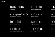 Callas, a Serif Font by Hoftype (Thumbnail 14 of 14)