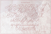Silk Atelier Stitched Script Font, a Script Font by AnMark (Thumbnail 9 of 13)