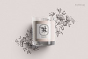 Antique Roses - Illustration Set, a Decorative Illustration by Encre Studio (Thumbnail 5 of 5)