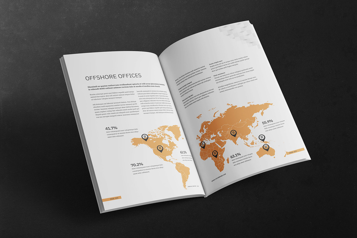 Annual Report Template, a Brochure Template by Pixavics (Photo 5 of 6)
