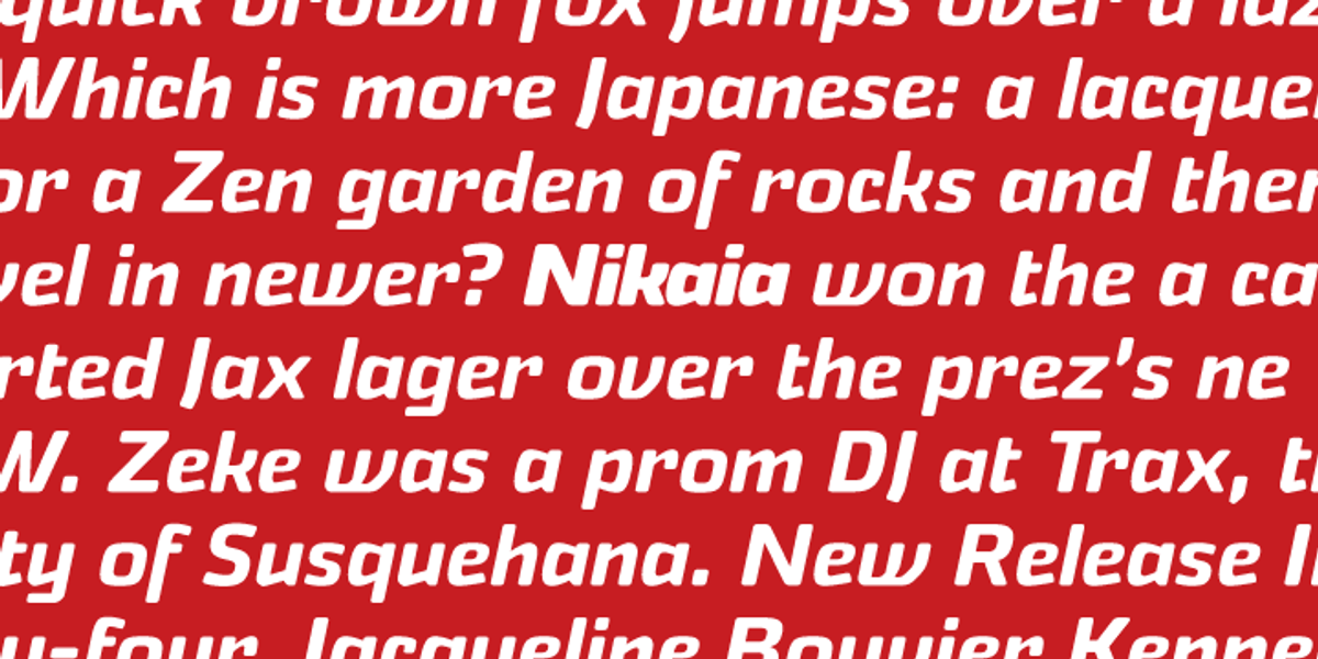 Nikaia, a Sans Serif Font by Miller Type Foundry (Photo 2 of 3)