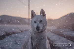 50 Realistic Snow Overlays