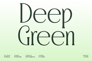 CS Macey – Art Nouveau Font, a Serif Font by Craft Supply Co. (Thumbnail 3 of 8)