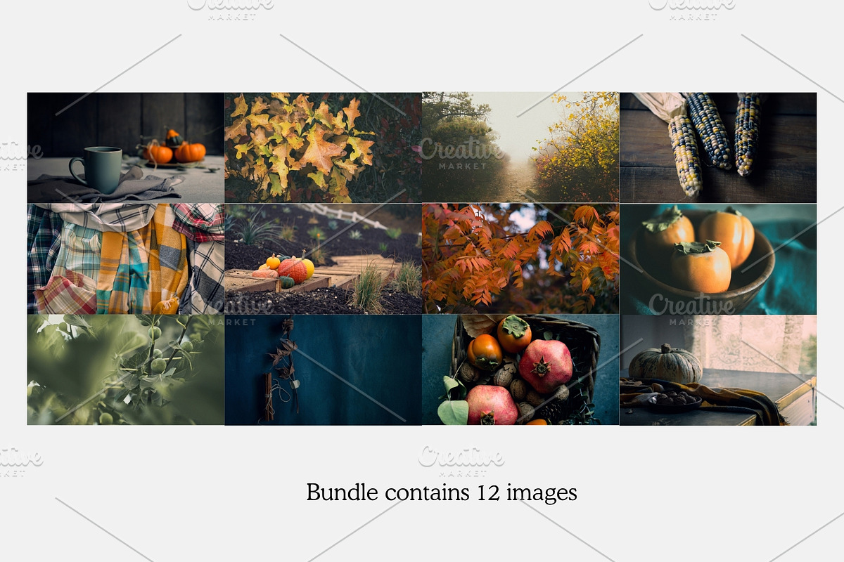 Vintage Moody Fall Backgrounds, a Background Photo by CreatingYOU.®, Lori Rice (Photo 2 of 5)
