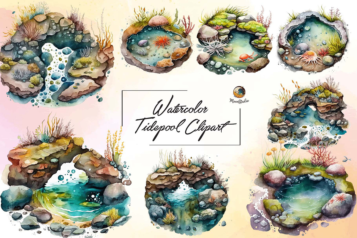 Entire Store Bundle, a Graphic by Moon Studio (Photo 75 of 81)