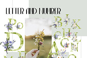 Wild Garden. Watercolor wildflowers., an Object Illustration by ma_i_vi (Thumbnail 10 of 11)