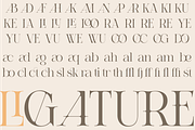 A Refined Luxury Serif - Relooyd, a Serif Font by Qweera Studio (Thumbnail 10 of 12)