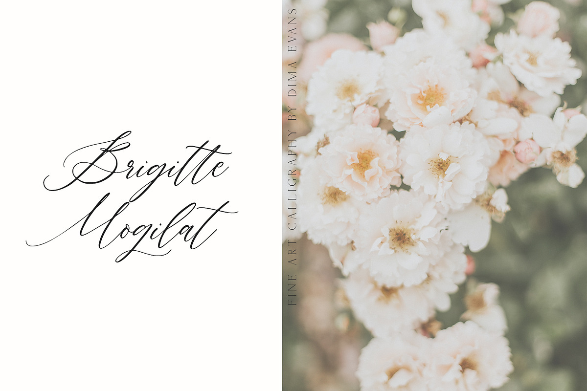 AVENIA ROSA preview 8