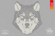 GREY WOLF - Vector illustration, an Animal Illustration by Artistic & Unique (Thumbnail 4 of 12)