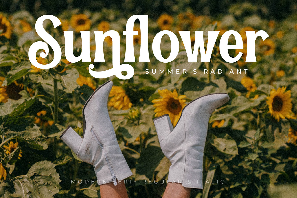Pearl Hirenha Modern Serif, a Serif Font by Storytype Studio (Photo 4 of 15)