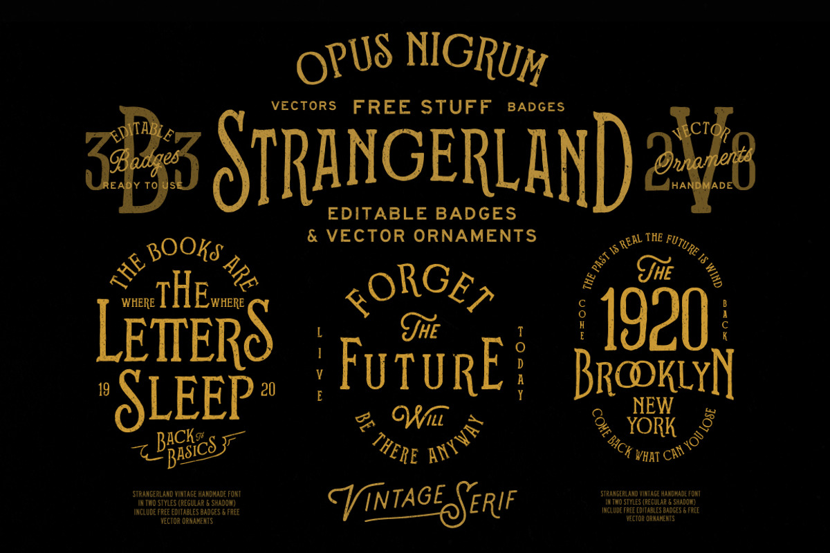 Strangerland + Extras, a Serif Font by Opus Nigrum (Photo 11 of 13)