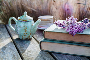 Books and Tea Picnic 11
