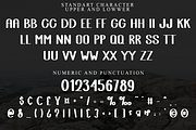 Abold, a Script Font by FreshTypeINK (Thumbnail 4 of 8)
