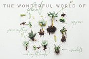 Quest for Design Font Duo, a Script Font by Creativeqube Design (Thumbnail 6 of 19)