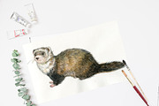 Forest animals .watercolor, an Animal Illustration by MitrushovaArt (Thumbnail 6 of 7)