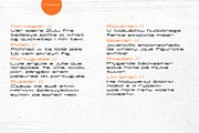 Freezer, a Font by True Story Letterworks (Thumbnail 14 of 14)